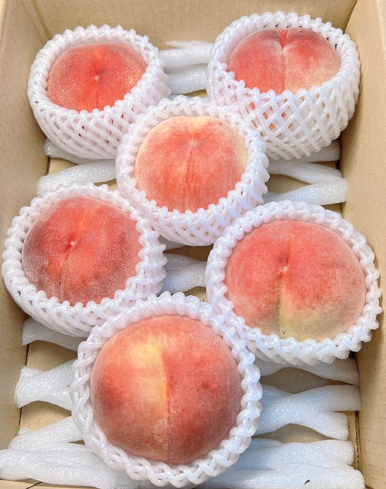 糖度14度以上！山梨県産白鳳桃 6個 秀品 - メルカリ