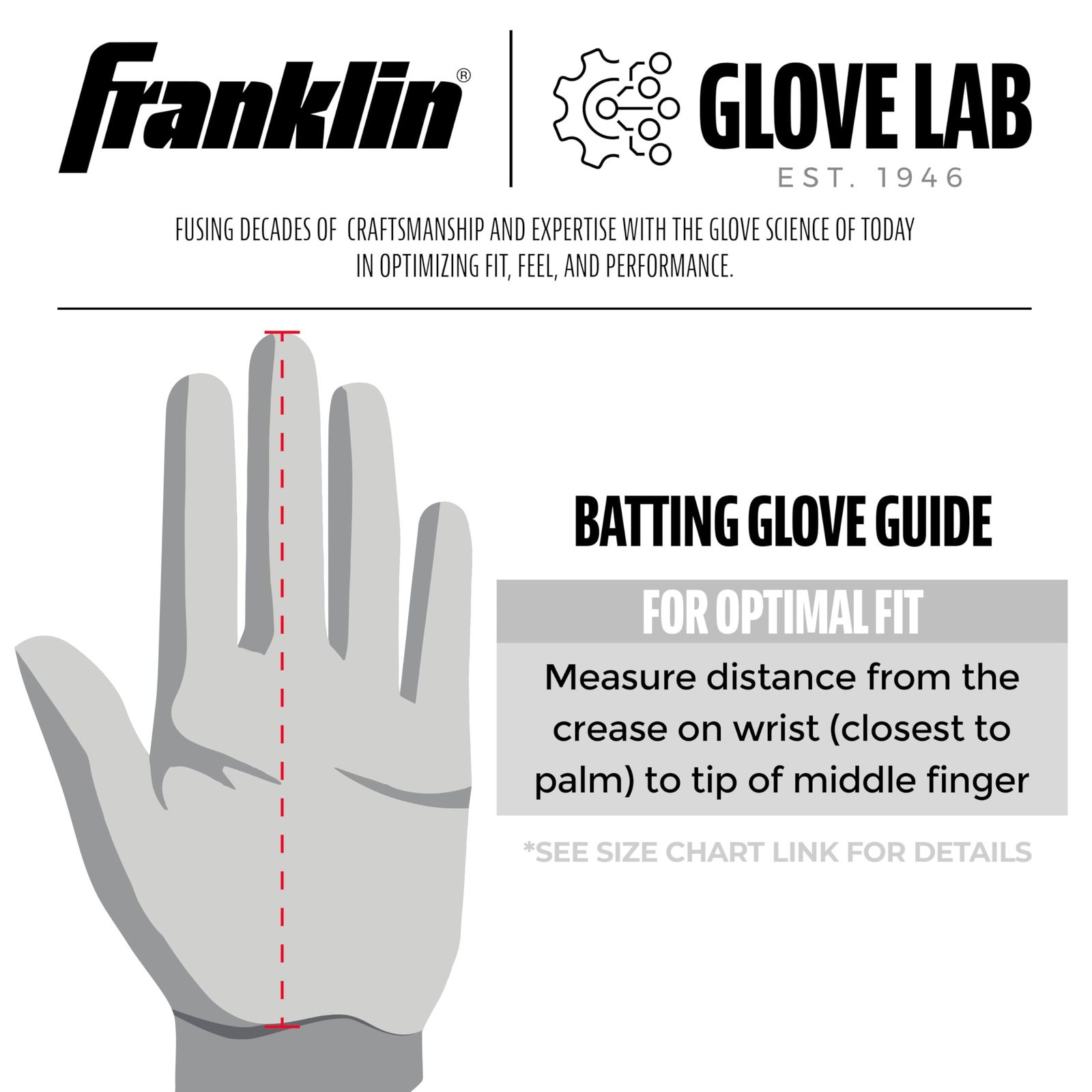 Franklin Sports 大人用 MLB Shok-Sorb X バッティンググローブ 大人用 M ペア ブラック/ゴールド [ブラック] [Adult Medium]