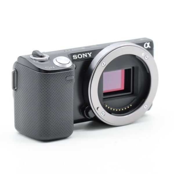 SONY NEX-5N ボディ ソニー - メルカリ