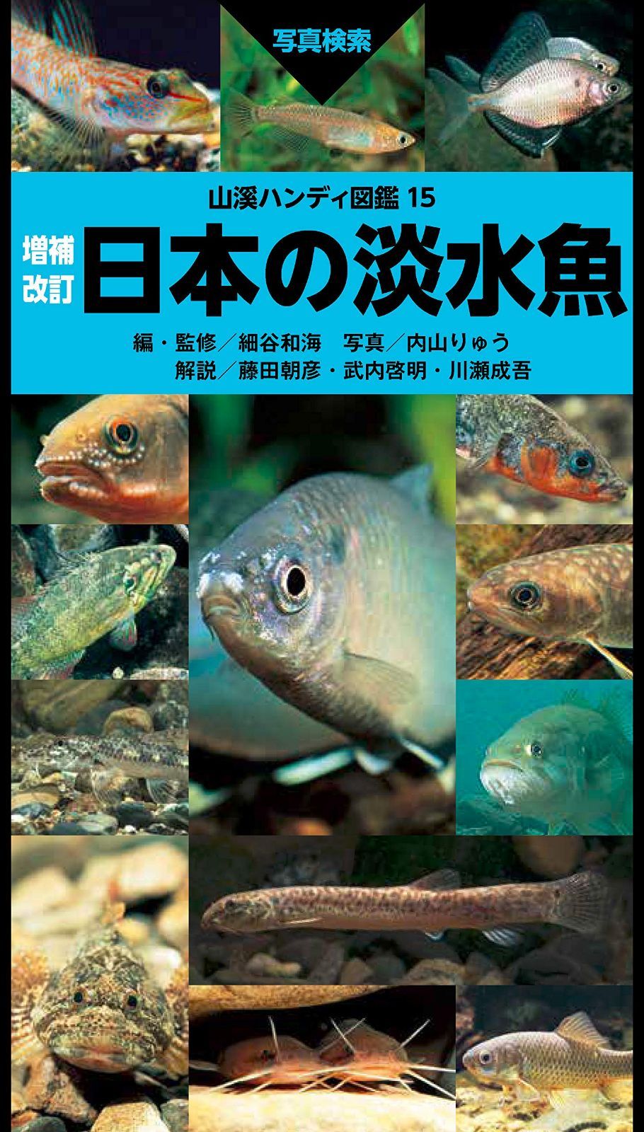 山溪ハンディ図鑑 増補改訂 日本の淡水魚 6,800円