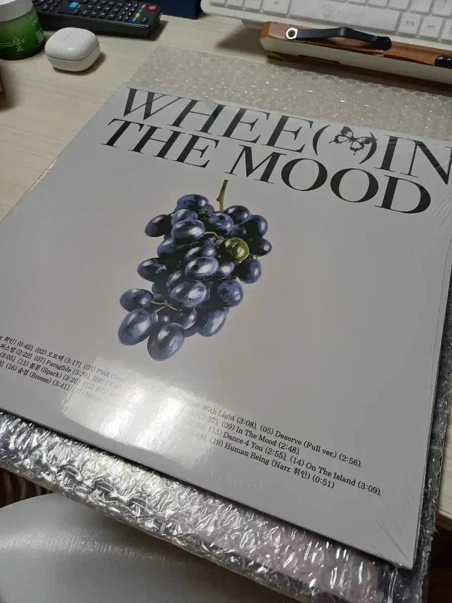 フィイン IN THE MOOD LP