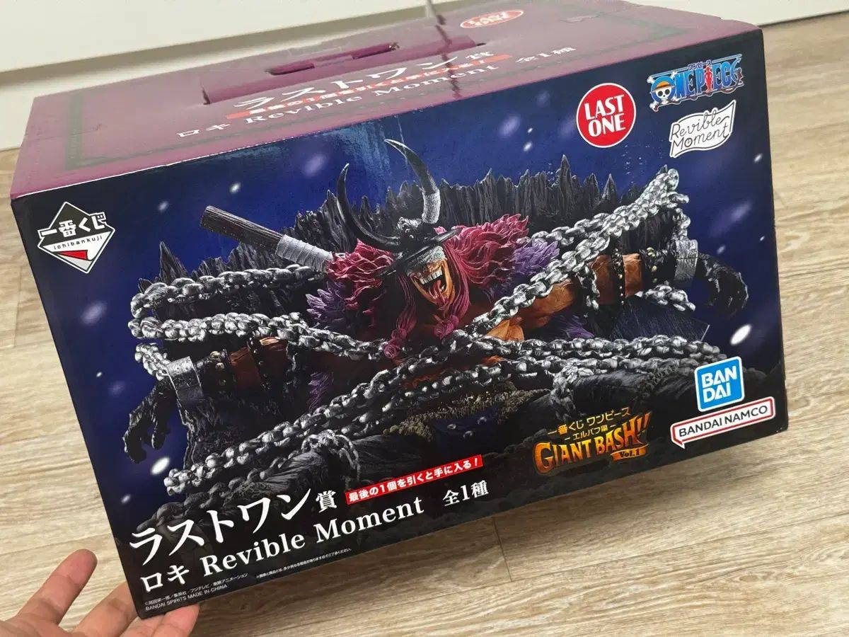 ロッキー + シャムロック