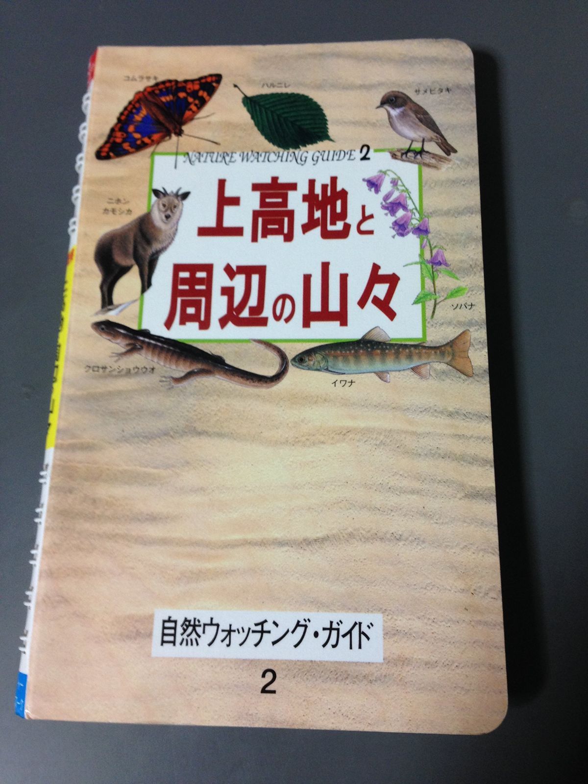上高地と周辺の山々 (自然ウォッチングガイド 2) 6,736円