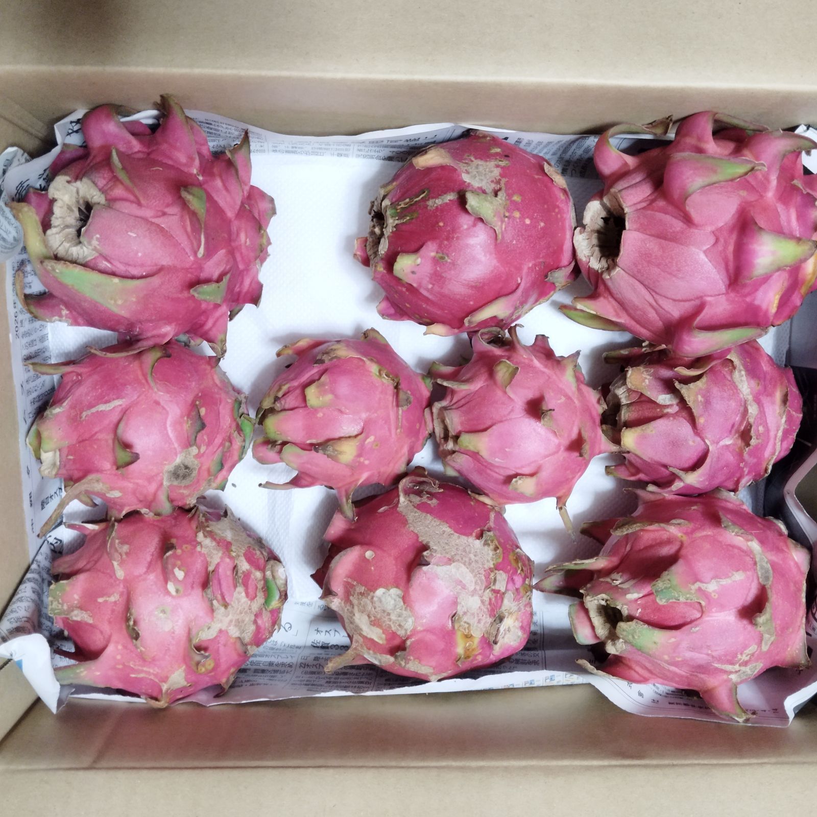沖縄県産 ドラゴンフルーツ赤 B品 約300g×24 約7.2kg【常温便】① 沖縄産ドラゴンフルーツ赤 B品 約1.9kg クール便 - メルカリ