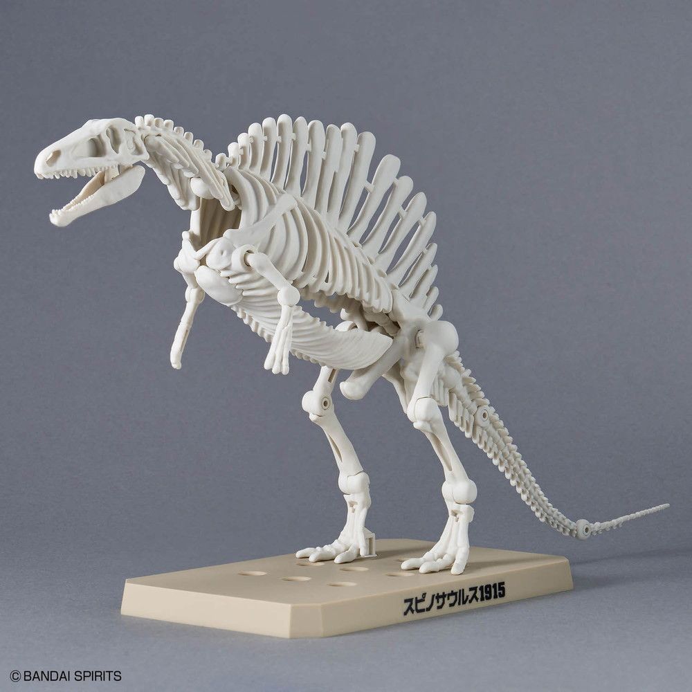 02 プラノサウルス スピノサウルス1915 - メルカリ