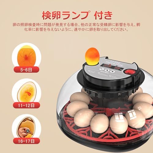 ☆新品☆自動孵卵器 インキュベーター 検卵ライト付き Safego 孵卵機