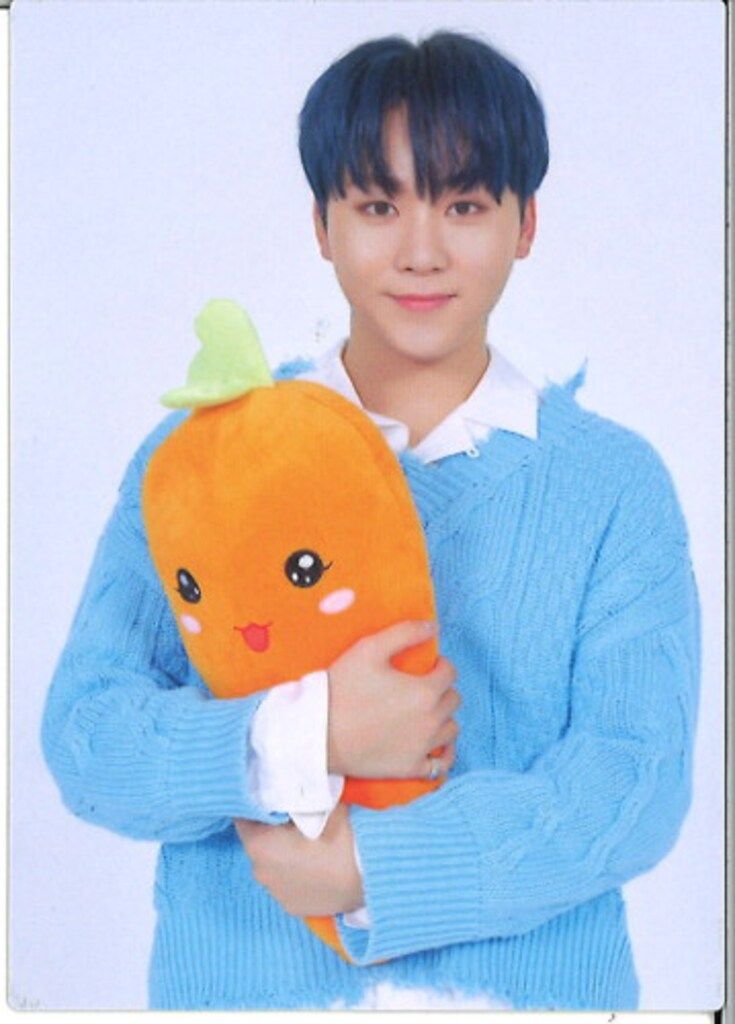 SEVENTEEN 2019 HARU SEUNGKWAN トレーディングカード 0112 - メルカリ
