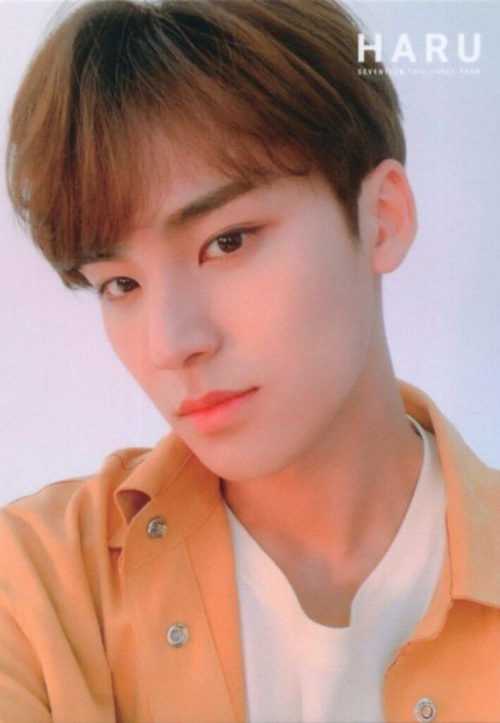 SEVENTEEN 2019 HARU MINGYU トレーディングカード 0071 - メルカリ