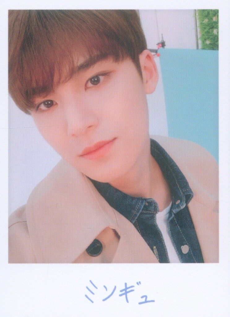 SEVENTEEN 2019 HARU MINGYU トレーディングカード 0123 - メルカリ