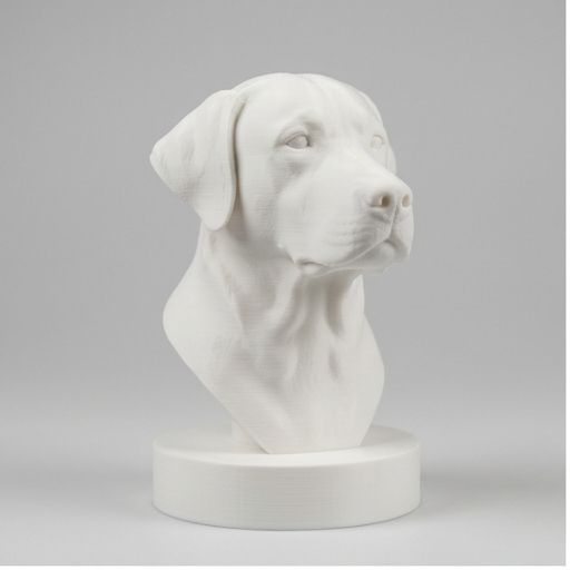 犬（ラブラドールレトリバー）の3Dプリント胸像 白PLA 彫刻 置物