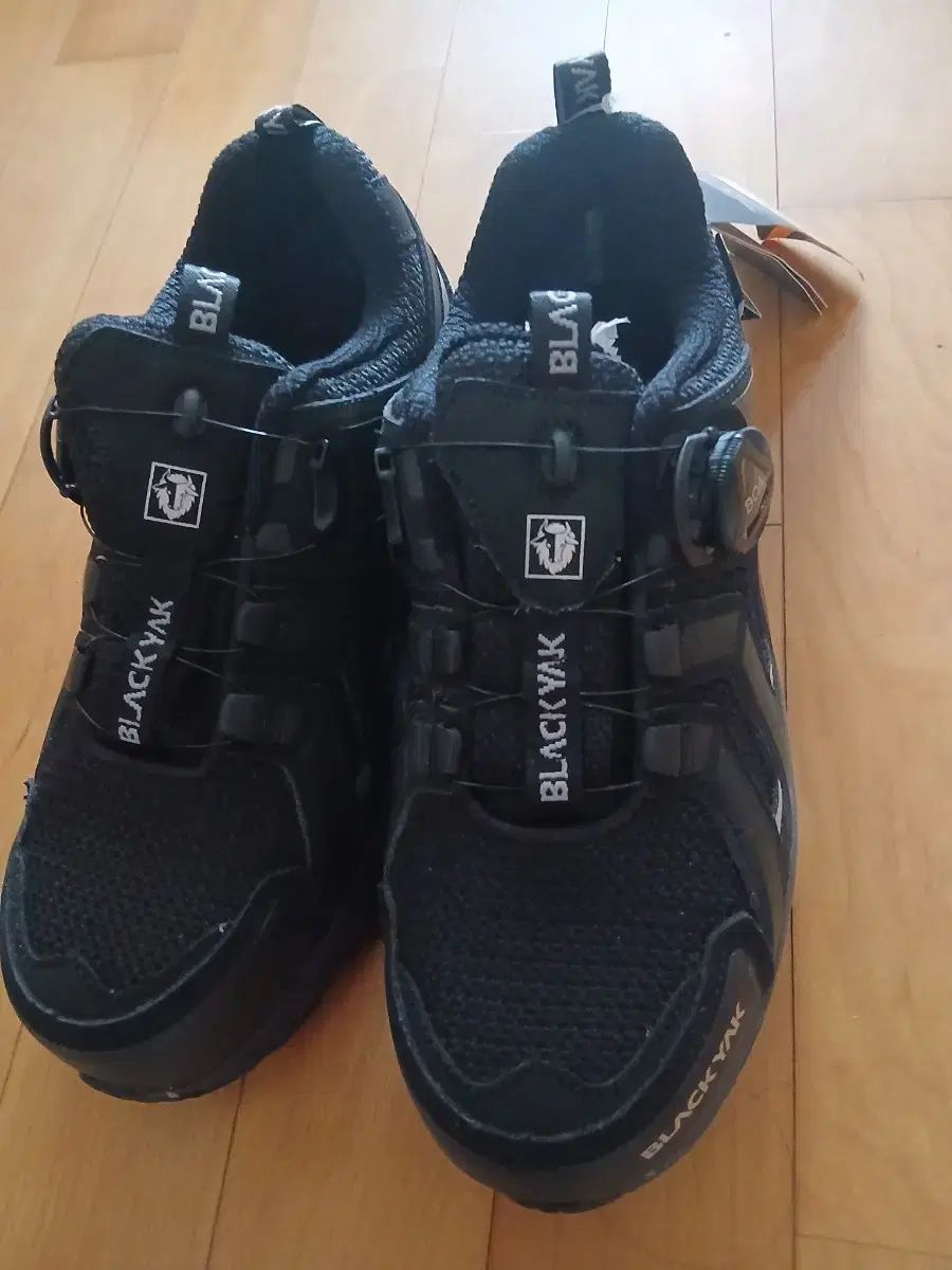 BLACK YAK ブラックヤク GORE-TEX ゴアテックス BoA（ボア） 安全靴 250 (新品)