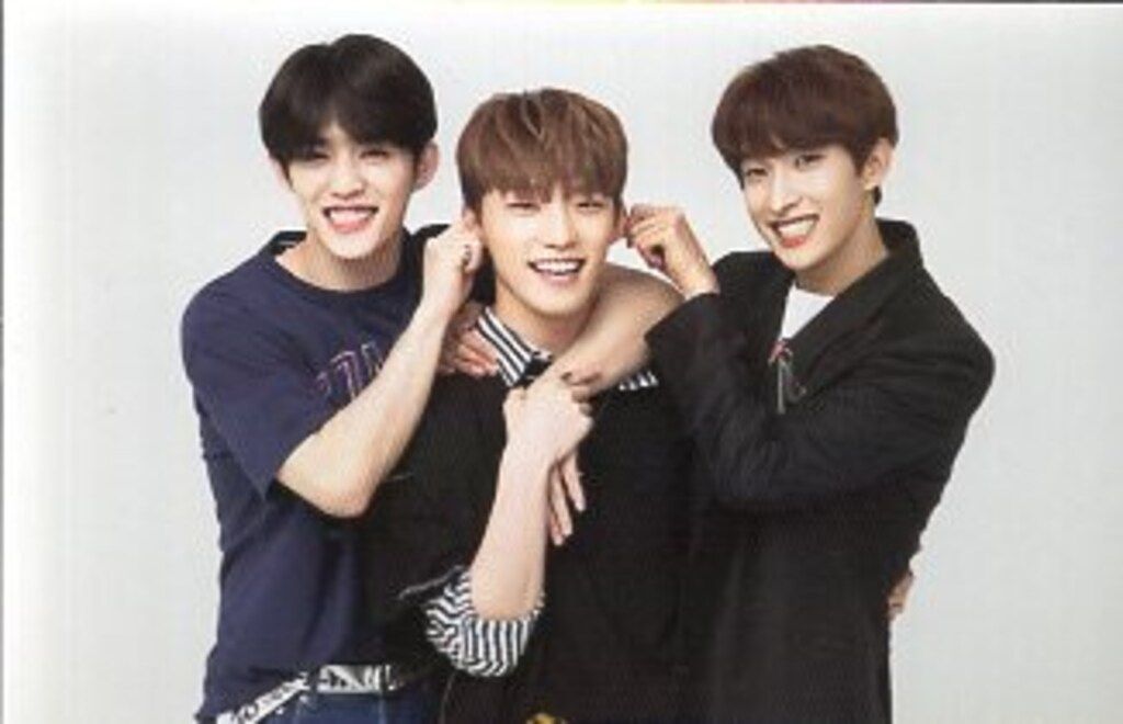 SEVENTEEN 2018 IDEAL CUT IN SEOUL S.COUPS/DK/DINO トレーディング