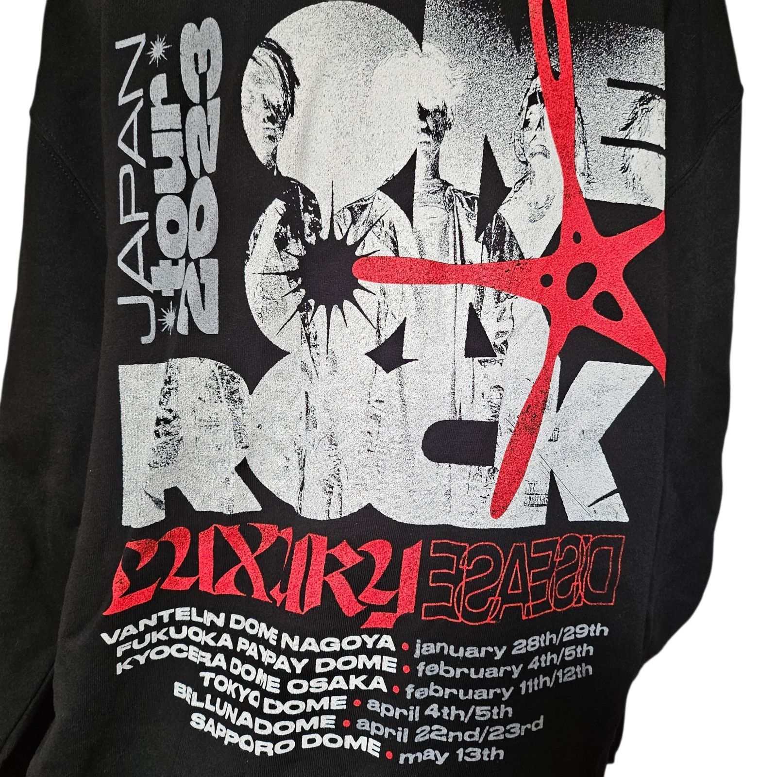 ONE OK ROCK ワンオク LUXURY DISEASE ツアーパーカー Lサイズ - メルカリ