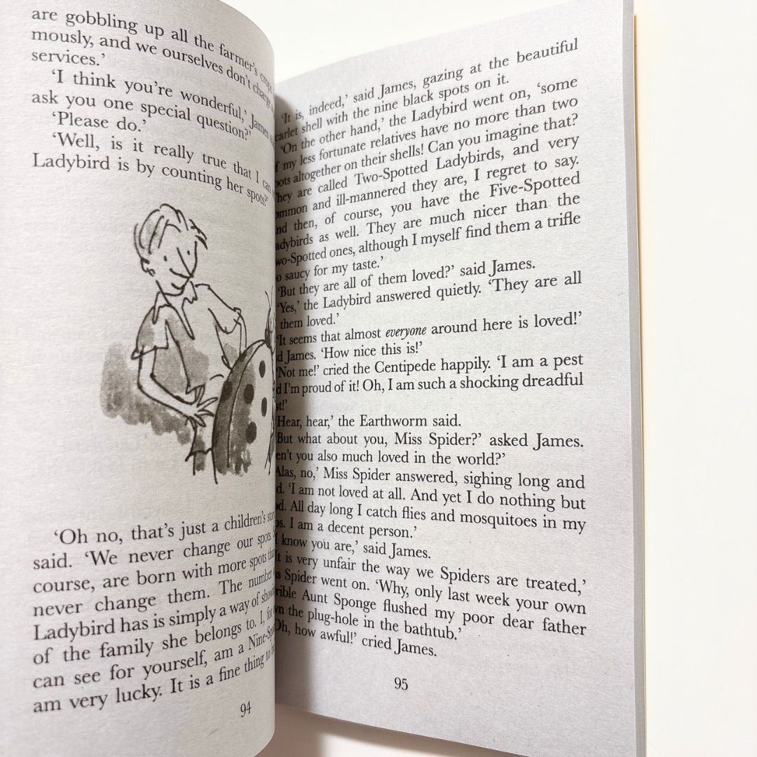 Roald Dahl ロアルド・ダール 24冊セット - メルカリ