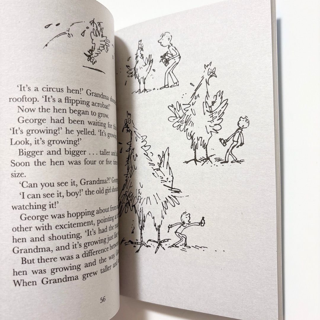 Roald Dahl ロアルド・ダール 24冊セット - メルカリ