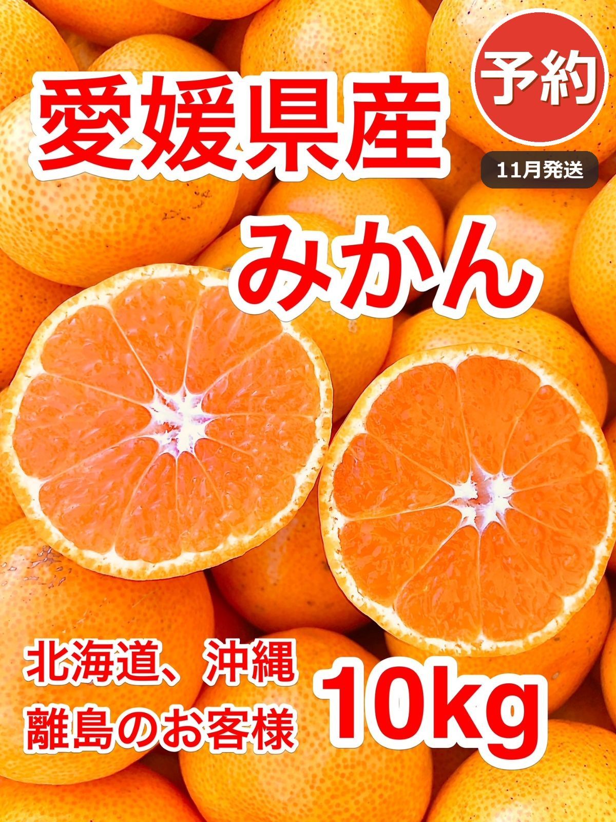 予約】北海道・沖縄・離島のお客様専用の商品 愛媛県西宇和産 みかん