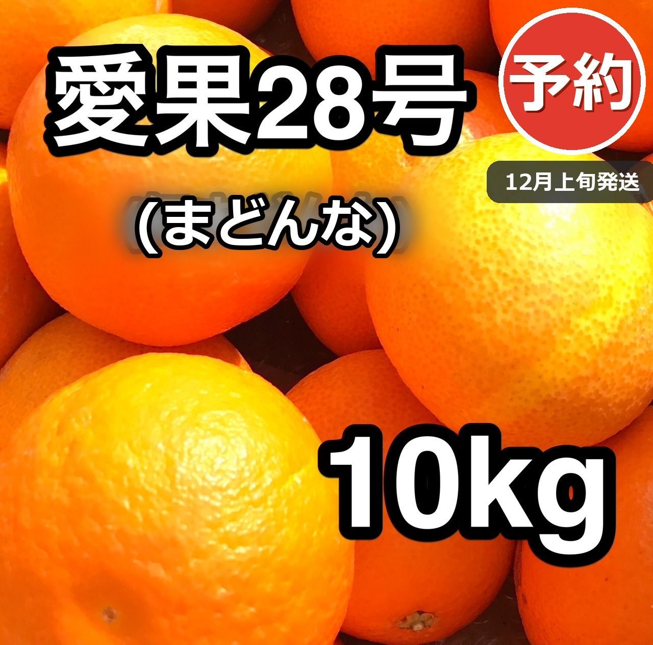 予約】愛媛県産 まどんな 10kg 送料込 12月発送 愛果28号 家庭用