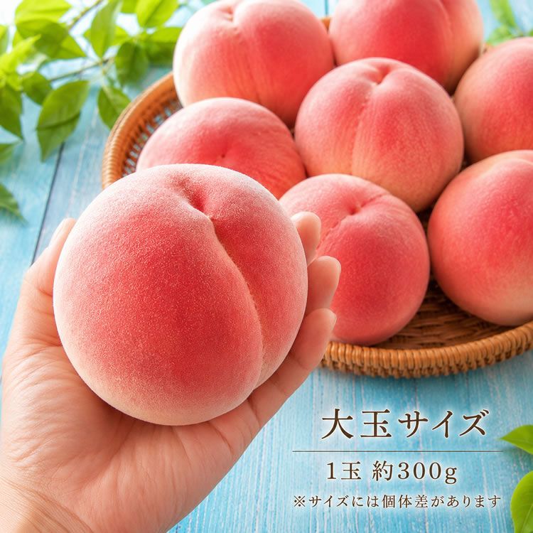 送料無料 和歌山あら川の桃 大玉10～13玉 - メルカリ