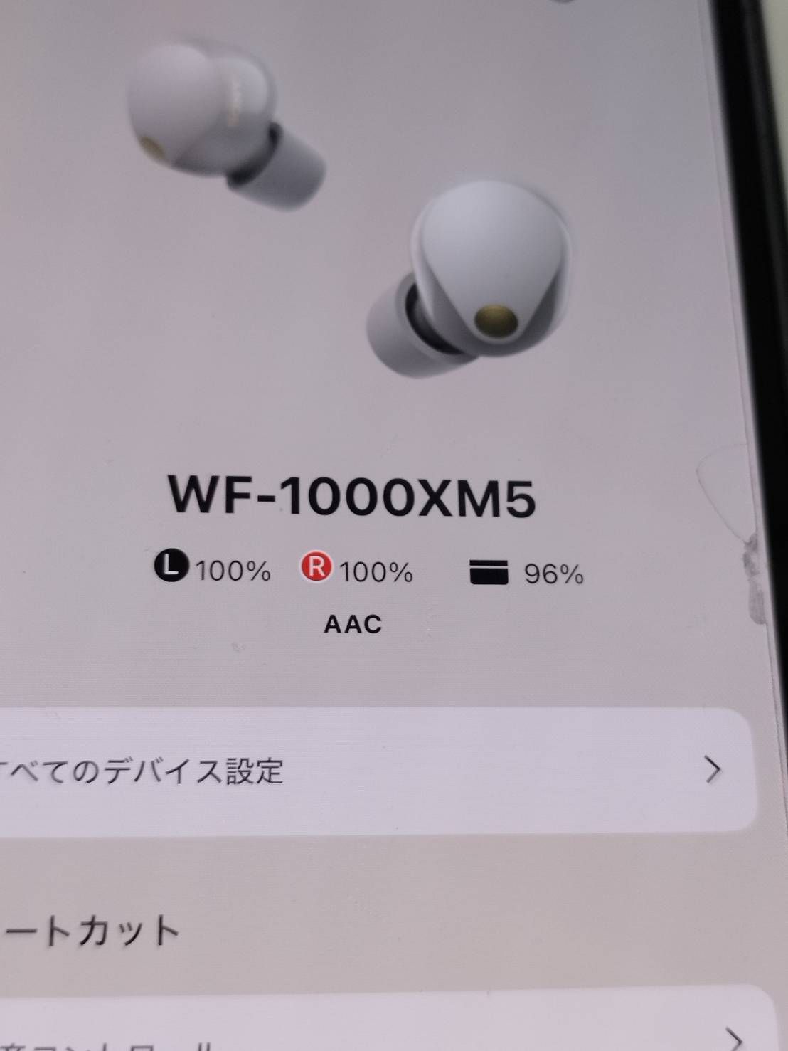 美品】SONY WF-1000XM5/YY2963/ワイヤレスイヤホン/プラチナシルバー