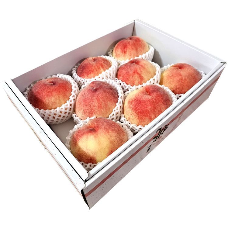 送料無料 和歌山県産 [大玉あら川の桃8玉化粧箱] 7月下旬より順次発送
