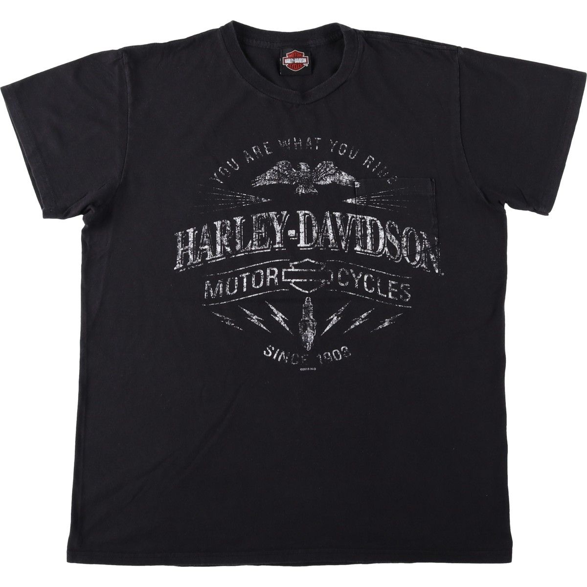 古着 ハーレーダビッドソン Harley-Davidson 鷲柄 イーグル柄 モーターサイクル バイクTシャツ メンズL相当/eaa657268 6,270円