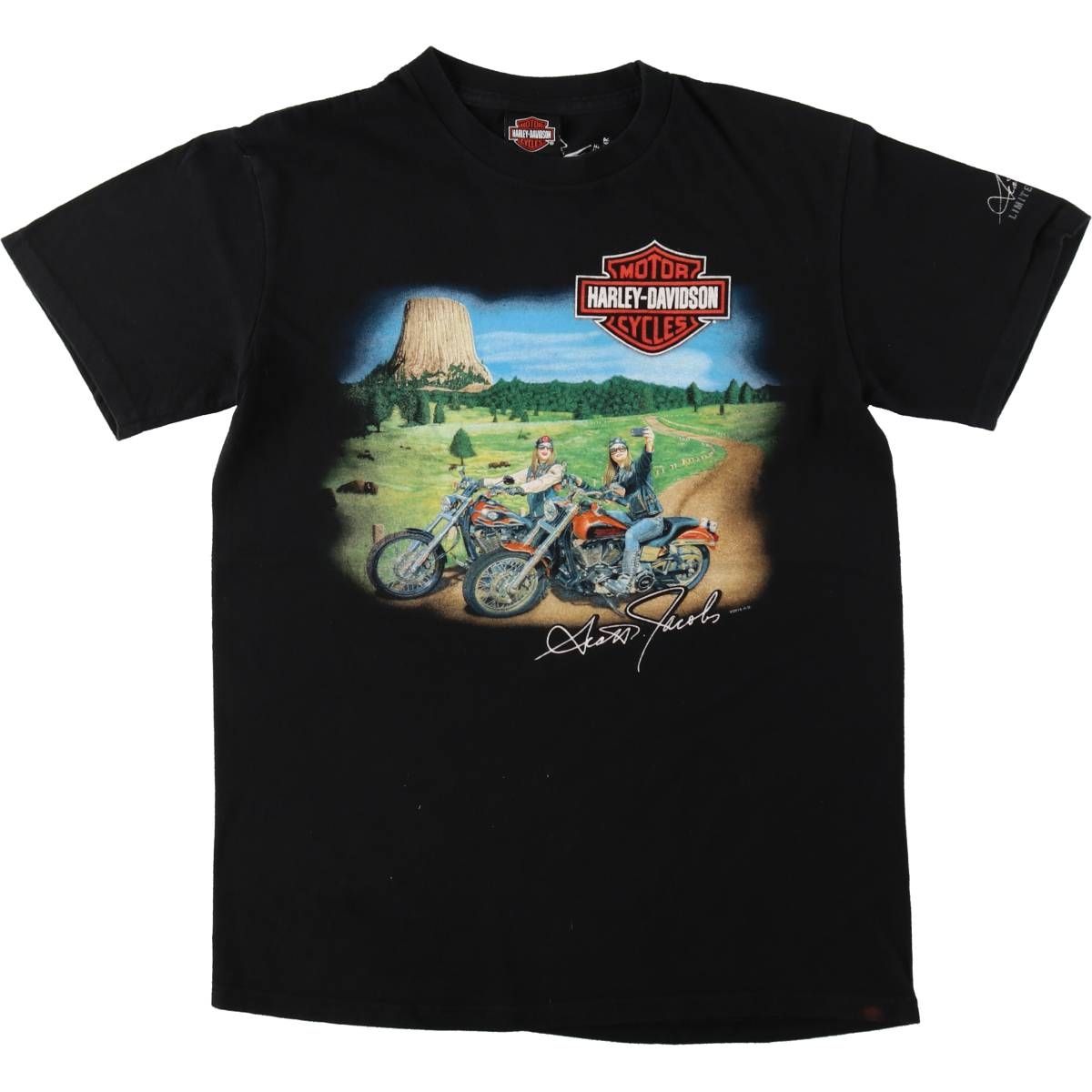 古着 ハーレーダビッドソン Harley-Davidson ピンナップガール モーターサイクル バイクTシャツ メンズM相当/eaa653673