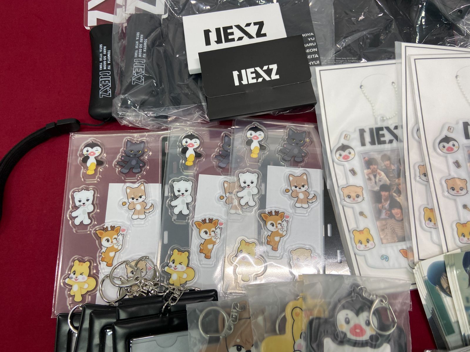 カメ】 NEXZ NEXZOO ペンライト アクスタ トレカ バッジ トレカケース