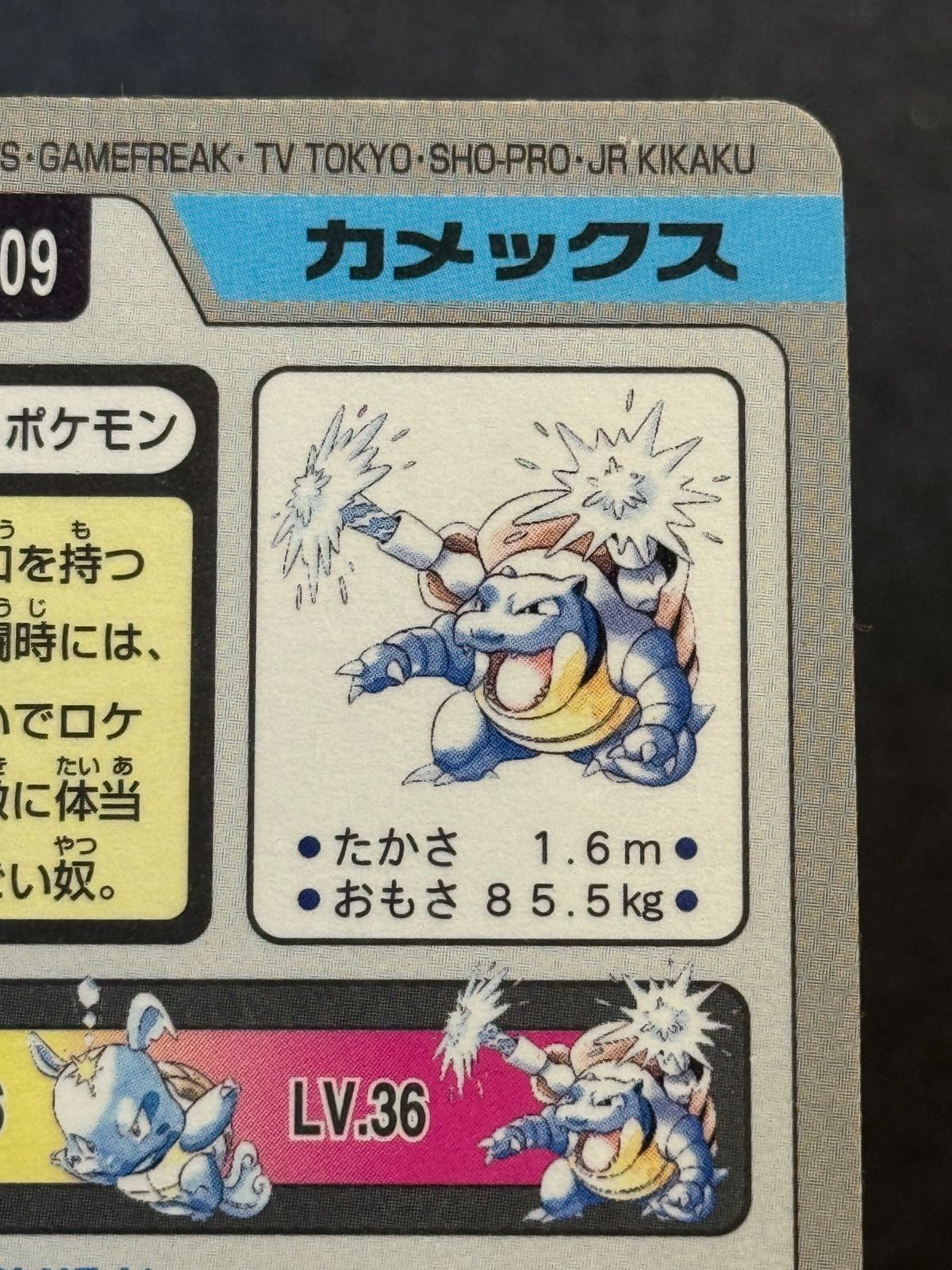 カードダス】カメックス プリズム No.009 97年 ポケモンカード【送料