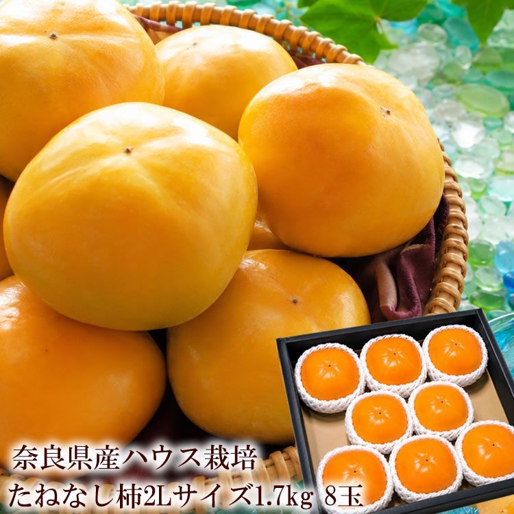夏に旬を迎える奈良県産ハウス栽培のたねなし柿 お中元 フルーツギフト 柿ギフト 種無し柿 1.7ｋｇ[種無し柿2L8玉]