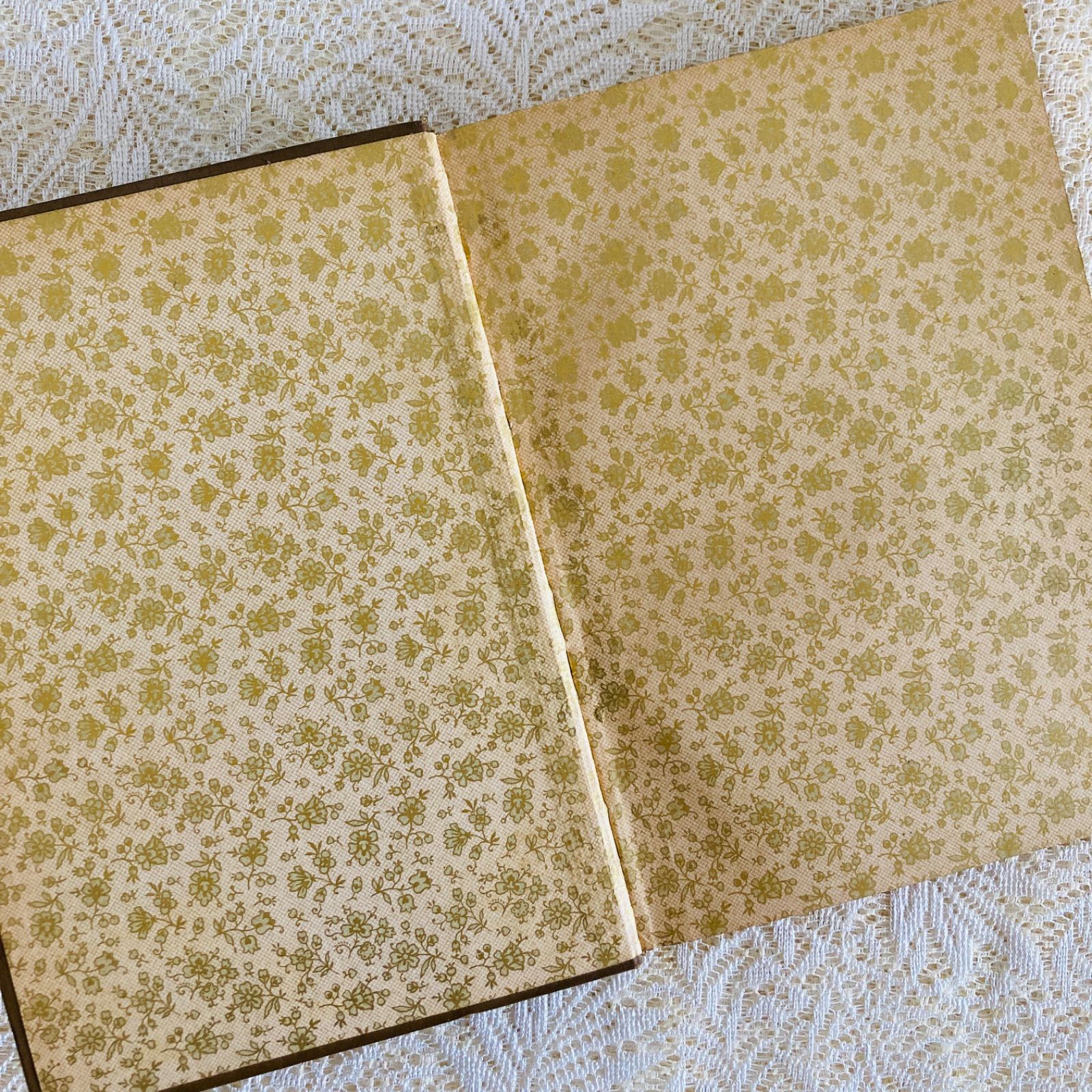 美しい花装丁のアンティーク詩選集 1910年頃 ドイツ語古書 インテリア