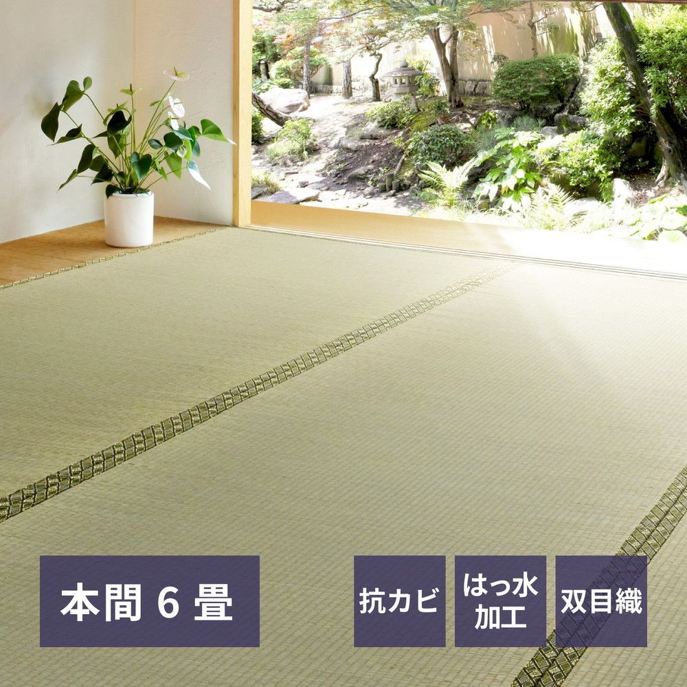 ♪本間６畳用 撥水加工 い草カーペット ［本間６畳：286✕382cm］　　　　井草 い草 カーペット じゅうたん 冷たい ひんやり 夏用 和室 客間