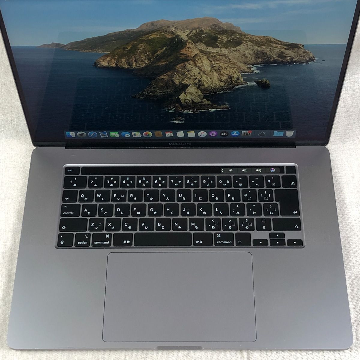 ジャンク品・本体のみApple MacBook Pro (16インチ 2019)【Radeon Pro
