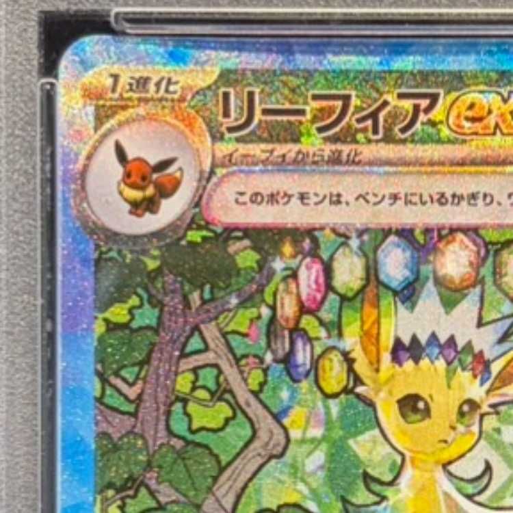 PSA10】リーフィアex SAR 200/187 1枚 - メルカリ