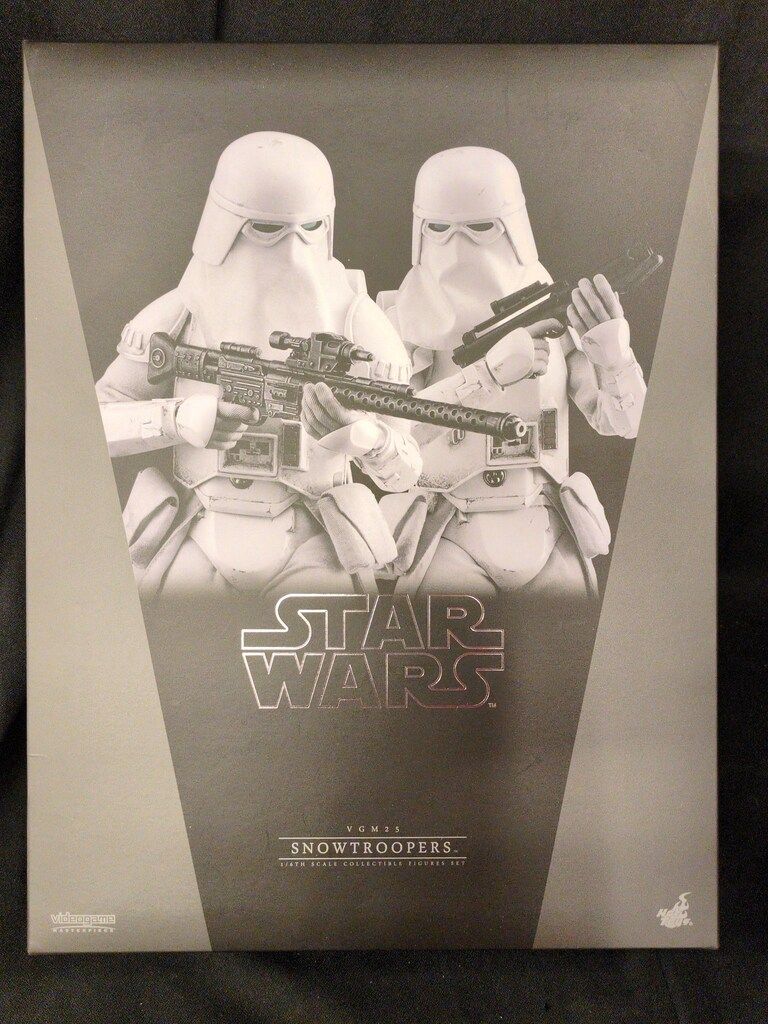 HOTTOYS VIDEOGAME MASTERPIECE SNOWTROOPERS (2体セット) VGM025