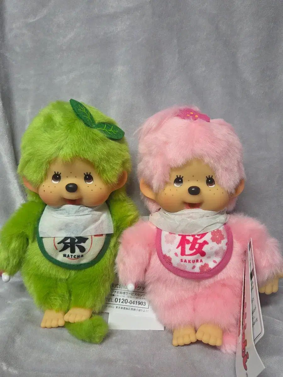 抹茶+さくら モンチッチs セット まとめ