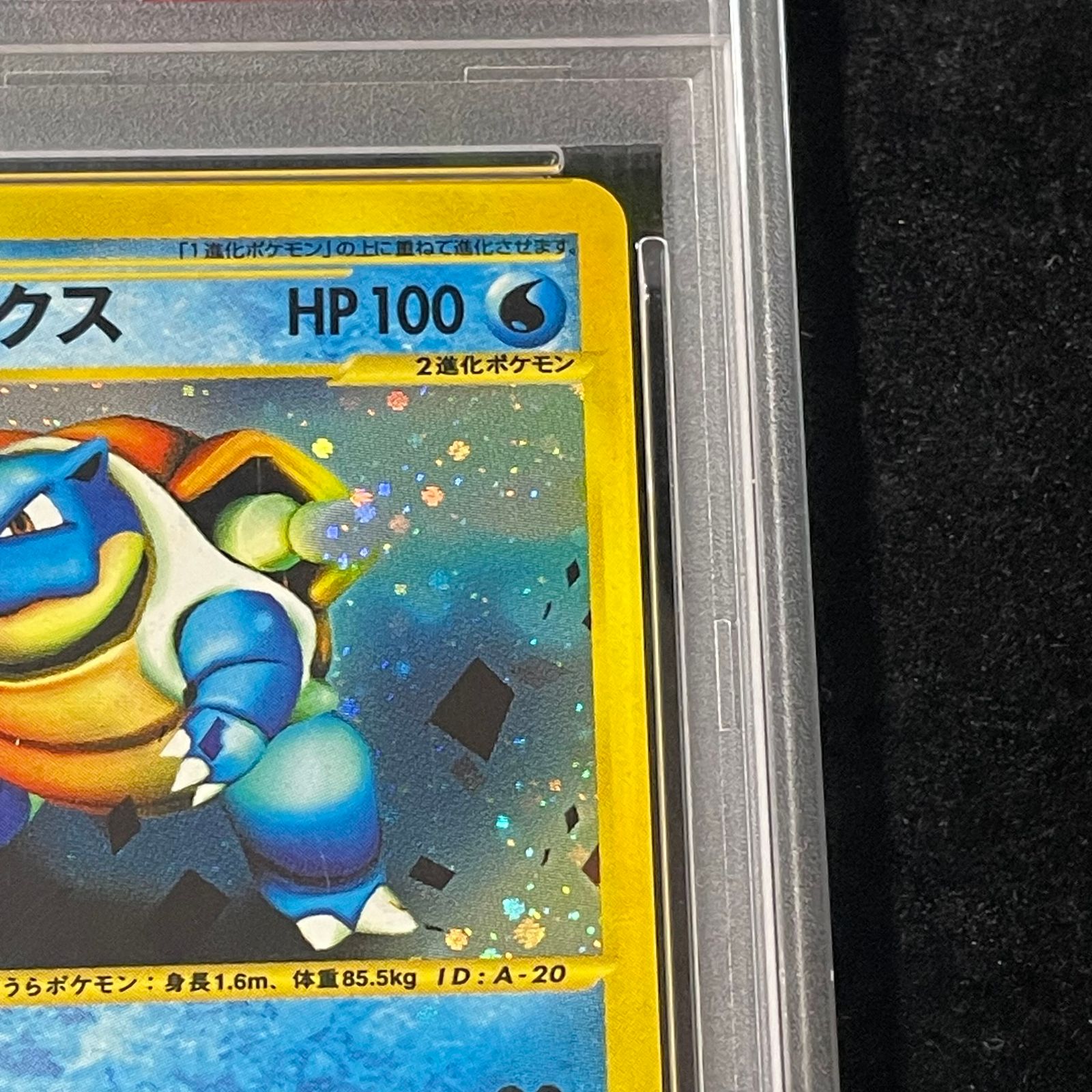 PSA10】カメックス トリプルゲットキャンペーン カードe PROMO 013/P 1