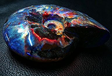 【新品】 天然石（原石） 数万個の中の一個★天然マダガスカル産 ★ 両面オパールアンモナイト 化石標本超巨大462ｇ★133ｍｍ 26100206 25,900円
