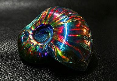 【新品】 天然石（原石） 数万個の中の一個★天然マダガスカル産 ★ 両面オパールアンモナイト 化石標本超巨大23ｇ★46ｍｍ 26100212