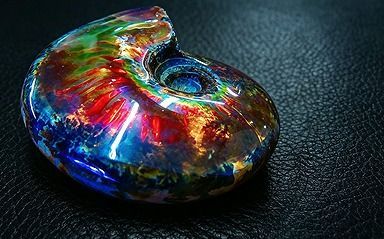 【新品】 天然石（原石） 数万個の中の一個★天然マダガスカル産 ★ 両面オパールアンモナイト 化石標本超巨大57ｇ★66ｍｍ 26100226