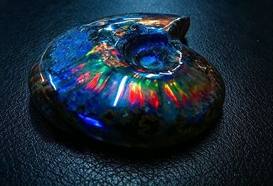 【新品】 天然石（原石） 数万個の中の一個★天然マダガスカル産 ★ 両面オパールアンモナイト 化石標本超巨大61ｇ★65ｍｍ 26100229