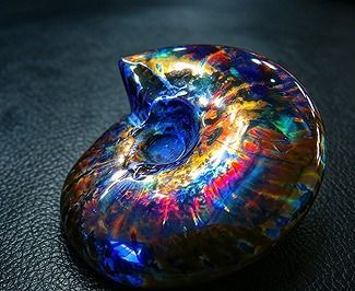 【新品】 天然石（原石） 数万個の中の一個★天然マダガスカル産 ★ 両面オパールアンモナイト 化石標本超巨大83ｇ★75ｍｍ 26100230