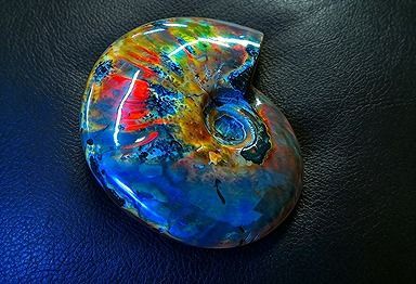 【新品】 天然石（原石） 数万個の中の一個★天然マダガスカル産 ★ 両面オパールアンモナイト 化石標本超巨大151ｇ★87ｍｍ 26100232