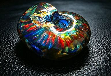 【新品】 天然石（原石） 数万個の中の一個★天然マダガスカル産 ★ 両面オパールアンモナイト 化石標本超巨大37ｇ★55ｍｍ 26100233