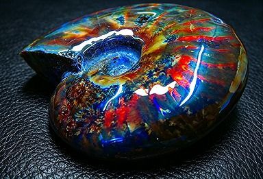 【新品】 天然石（原石） 数万個の中の一個★天然マダガスカル産 ★ 両面オパールアンモナイト 化石標本超巨大235ｇ★103ｍｍ 26100235