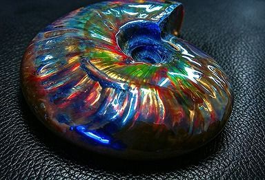 【新品】 天然石（原石） 数万個の中の一個★天然マダガスカル産 ★ 両面オパールアンモナイト 化石標本超巨大165ｇ★97ｍｍ 26100236