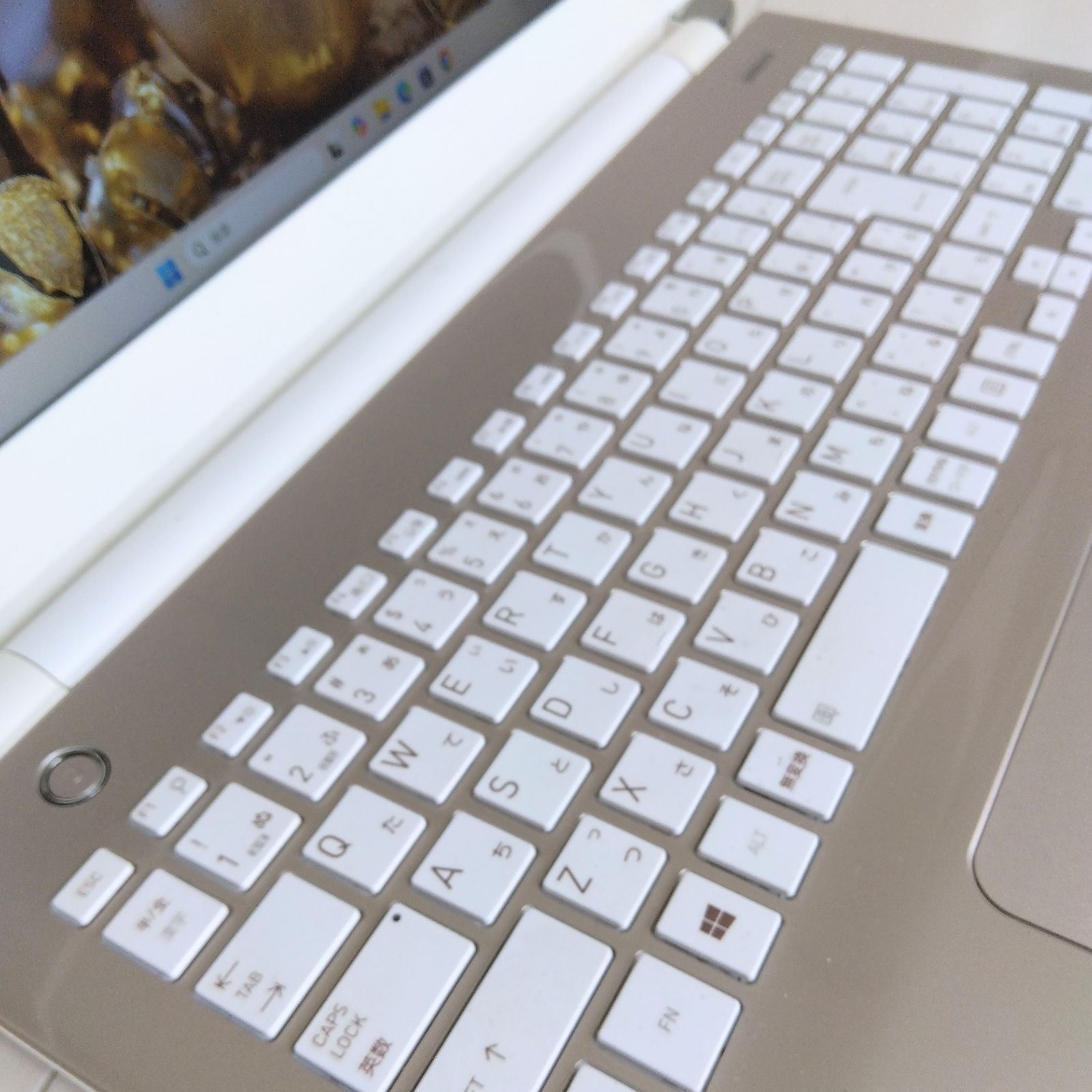 31✨Windows11✨新品SSD✨東芝ノートパソコン✨カメラ＆Office付きPC