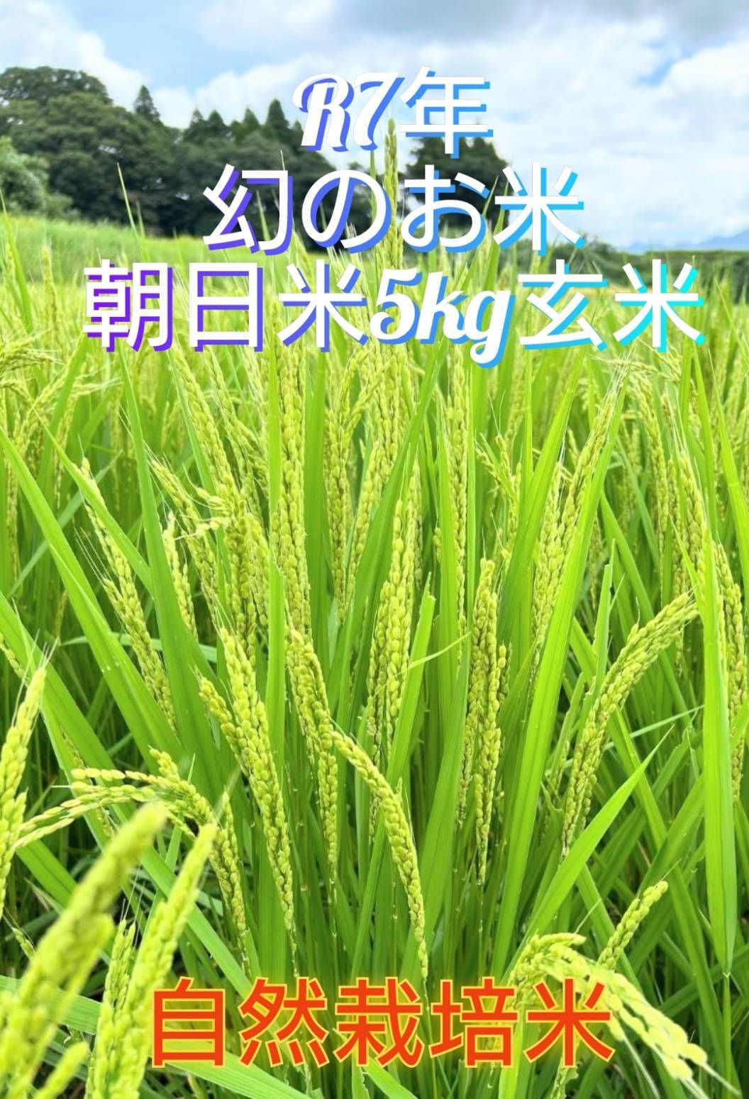 R7年産】自然栽培米 2種食べ比べ15kg(玄米) - メルカリ