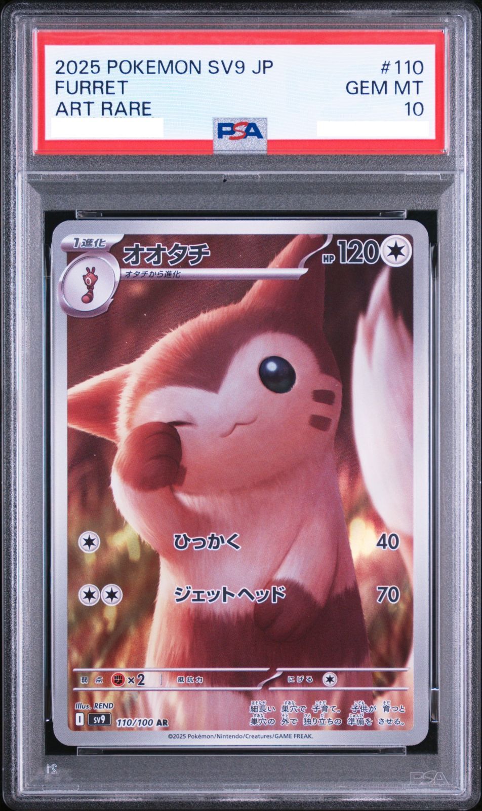 ポケモンカード オオタチ AR 110/100 バトルパートナーズ SV9 PSA10