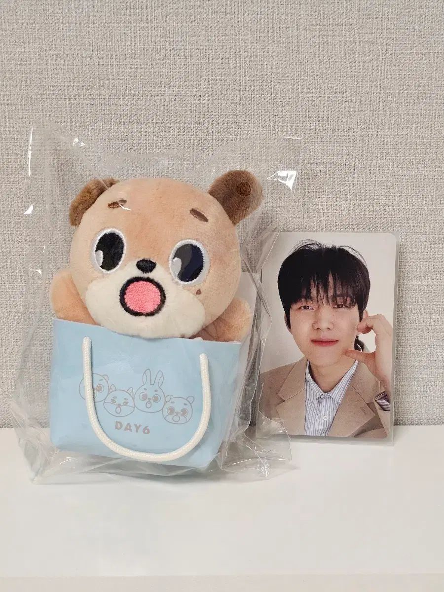 DAY6 ドウン グッズ まとめ売り おまけ付き DAY6（デイシックス）日本 MD バッグチャーム ドウン (+ドウン(DOWOON