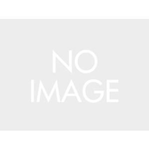 【新品・3営業日で発送】DAYTONA デイトナ GIVI SR3125 トップV-STRM800 品番:46263